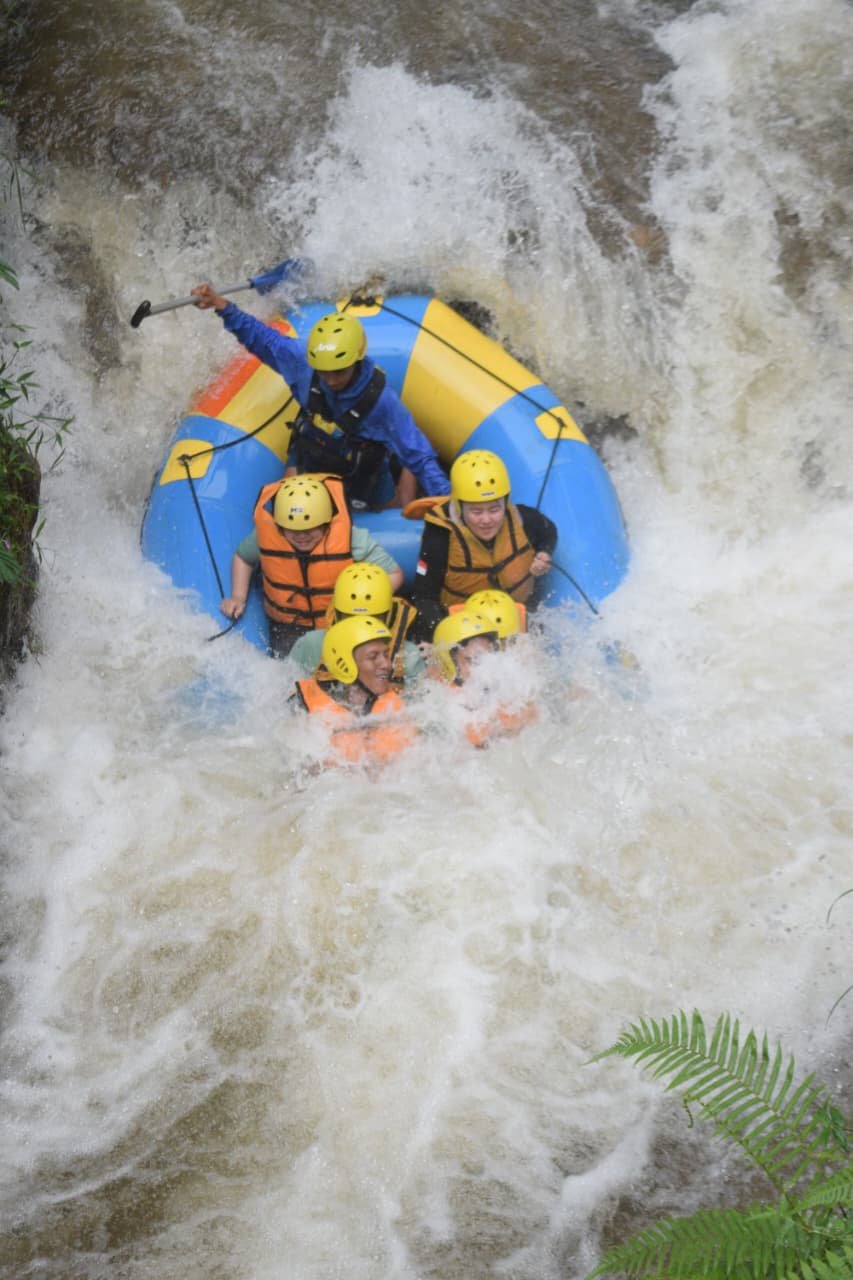 whatsapp image 2026 02 18 at 14.45.13