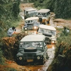 whatsapp image 2026 03 03 at 16.52.42